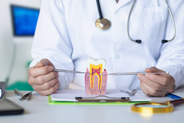Best Weekend Emergency Dentist in Hickory Hls, IL